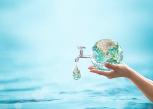 Importance of Clean Water: Ensuring Public Health and Environmental Sustainability