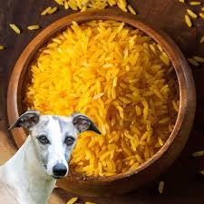 To Feed or Not to Feed: Yellow Rice and Your Dog's Health