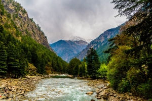Homestays & Heritage Walks: Embark on a Journey through Time with Your Hosts as Guides