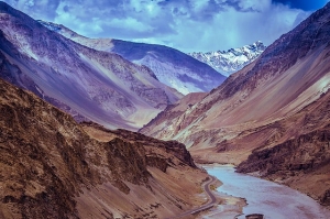 Ladakh's Unique Flora and Fauna: A Biodiversity Hotspot