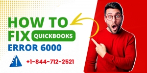 How Can I Fix QuickBooks Error 6000 [Multiple Company File Issue] 