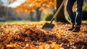 Enhance Your Outdoor Space with Fall Cleanup Landscaping Services