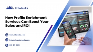 How Profile Enrichment Services Can Boost Your Sales and ROI