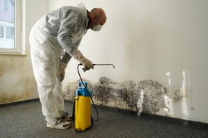 Struggling with Water Damage in Torrance? Explore Expert Restoration Strategies