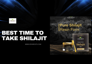 when should i take shilajit 