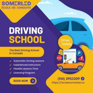 Master the Road with Driving School Somerled: Your Gateway to Safe and Confident Driving