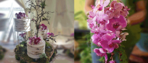 Orchid Arrangements for Special Occasions: Weddings, Parties, and Events