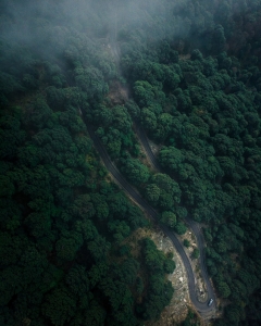 Planning a Trip to Goa and Ooty: A Step-by-Step Guide