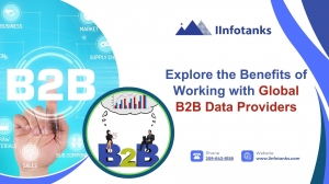 Explore the Benefits of Working with Global B2B Data Providers