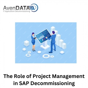 The Role of Project Management in SAP Decommissioning