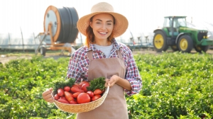 Exploring the Bounty of Nature: Farmer's Baskets, Fruit Boxes, and Baskets of Vegetables