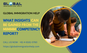 What insights can be gained from the MIMMM Competency Report?