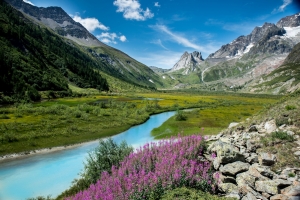 Packing Tips for a Winter Trip to Pahalgam