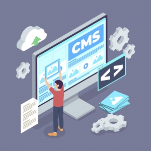 Top 10 Benefits of Hiring a WordPress Development Company in Mansarovar