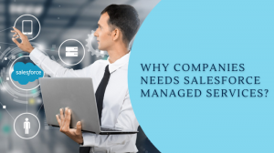 7 Ways How Salesforce Managed Services Benefits Business!