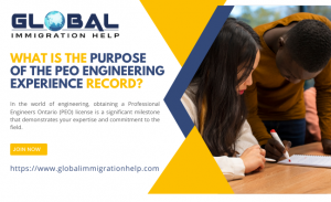 What is the Purpose of the PEO Engineering Experience Record?