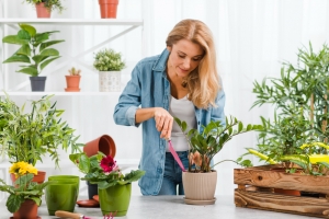 Green Living: Mastering Indoor Gardening Tips in Jaipur