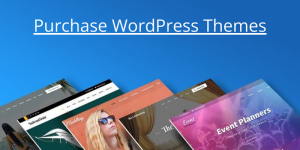 A Comprehensive Guide to Purchasing WordPress Themes