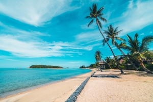 Exploring Local Culture Through Homestays in Goa and Ooty