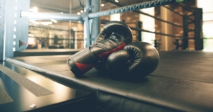 From Mats to Gloves: Your One-Stop Shop for Elite Martial Arts and Boxing Equipment