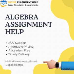 Ultimate Guide to Obtaining Algebra Assignment Help