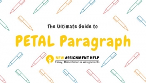 Mastering the PETAL Paragraph: A Guide to Enhancing Your Writing