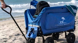 Why Is It a Good Idea To Own a Beach Cart?