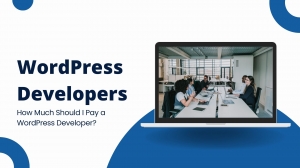 How Much Should I Pay a WordPress Developer?