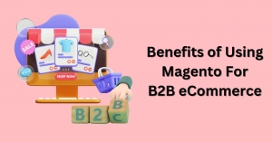 The Benefits of Using Magento for B2B eCommerce