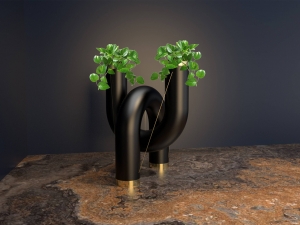 Product Packaging Design: Saypan Expertise in Regulatory Compliance