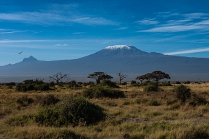 Kenya's Hidden Gems: Unique Experiences Beyond the Safari