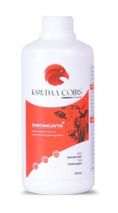 Boost Your Garden's Health with Panchagavya Fertilizer: A Natural Solution by Karudaa Coirs