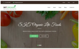 Responsive Eco Products & Free organic food WordPress theme