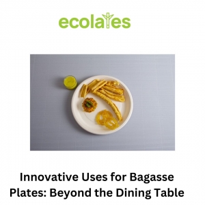 Innovative Uses for Bagasse Plates: Beyond the Dining Table