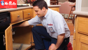 Top Reasons for Plumbing Leaks and How to Prevent Them