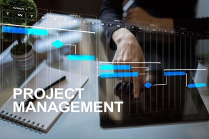 How SAP Business One Contributes to Project Management and Collaboration