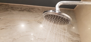 Selecting the Perfect Shower Head