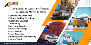 10 Reasons to Choose Professional Packers and Movers in Delhi 