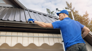 How Do You Clean Your Gutters?