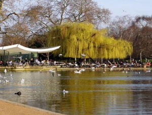 A Perfect Day at British Summer Time Hyde Park