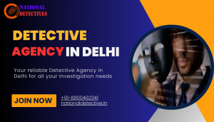 The Best Detective Agency in Delhi for Background Verification