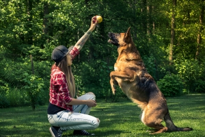 Exploring the Impact of Dog Trainers on Pet Parents' Lives