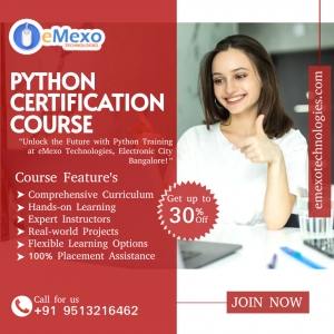 Hands-On Python Training: Your Path to Success at eMexo Technologies