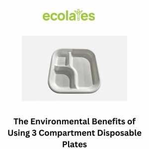 The Environmental Benefits of Using 3 Compartment Disposable Plates