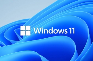 Windows 11: How to Download and Activate Your Version