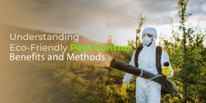 Understanding Eco-Friendly Pest Control: Benefits and Methods