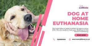 Letting Go with Love: Home Euthanasia for Your Dog | WW Mobile Veterinary Services