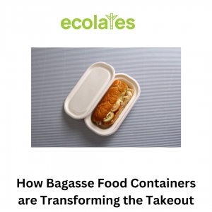 How Bagasse Food Containers are Transforming the Takeout Industry