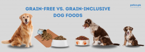 Grain-Free vs. Grain-Inclusive Dog Foods: What’s Best?