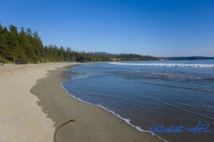 Experience Ucluelet Like Never Before: Stunning Cabins You Have to See!